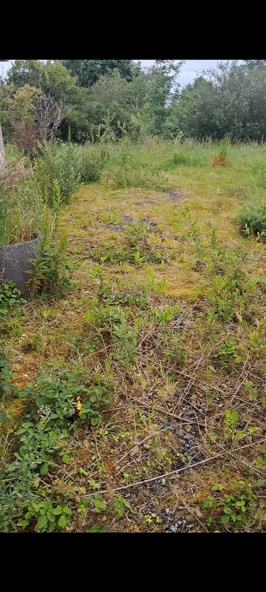 Garden maintenance and power washing service - Image 3
