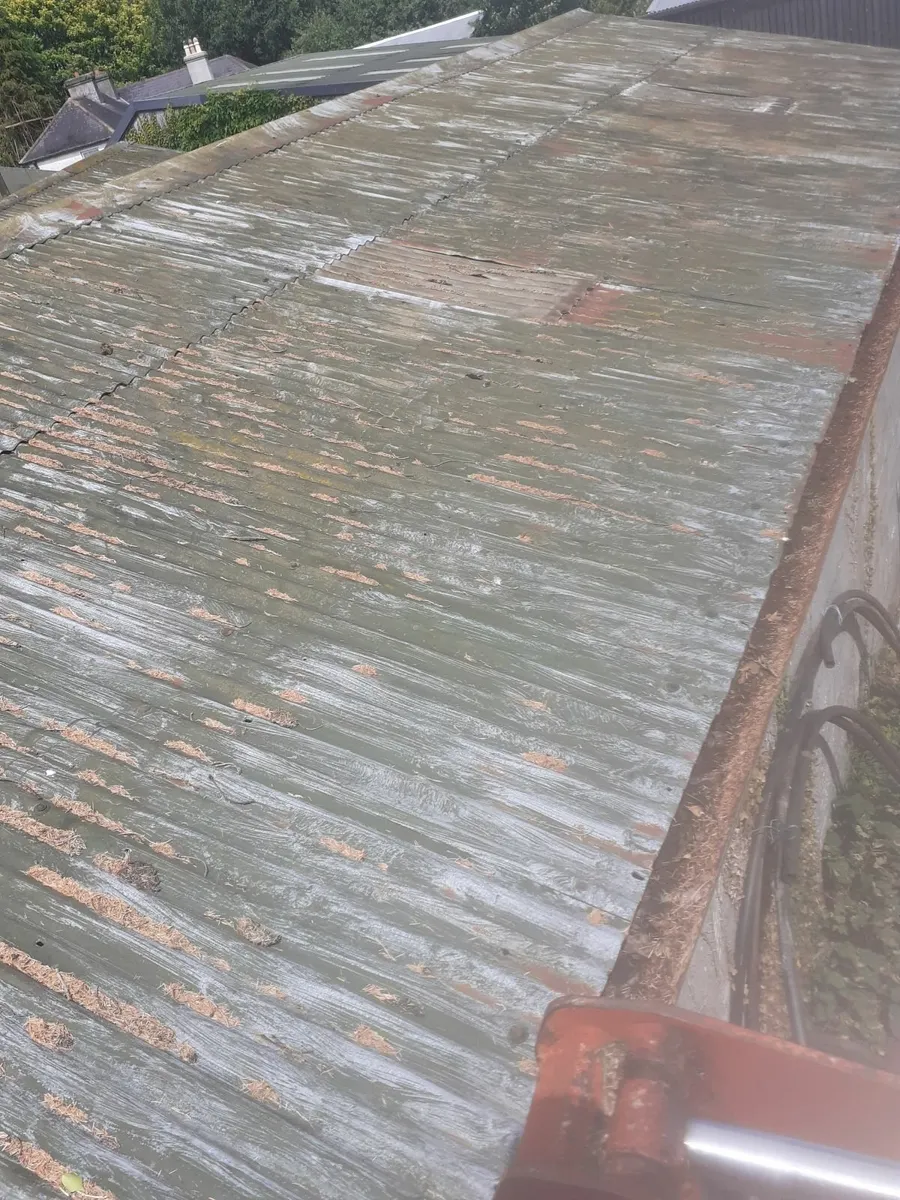 Roof - Image 1