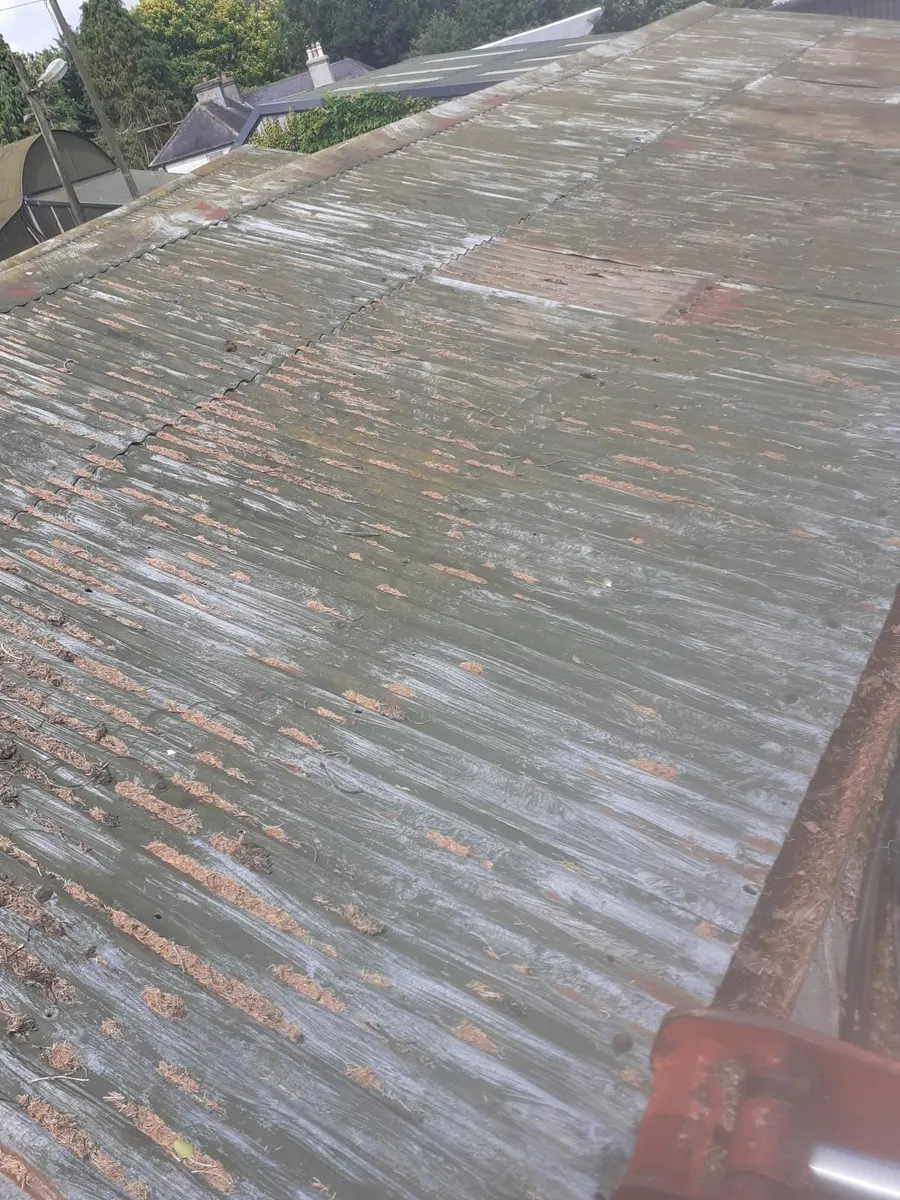 Roof - Image 2