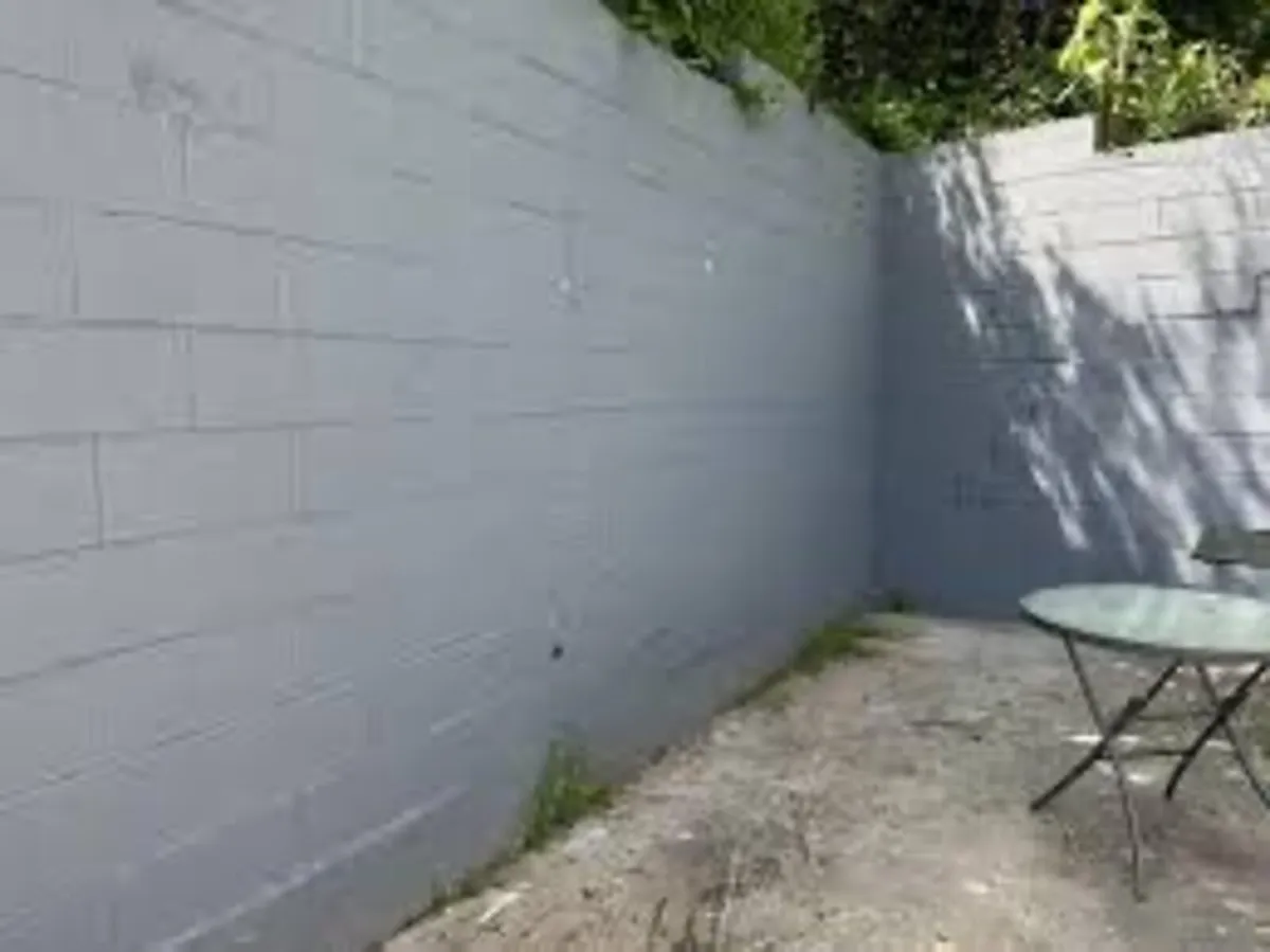 Masonry paint - Image 1