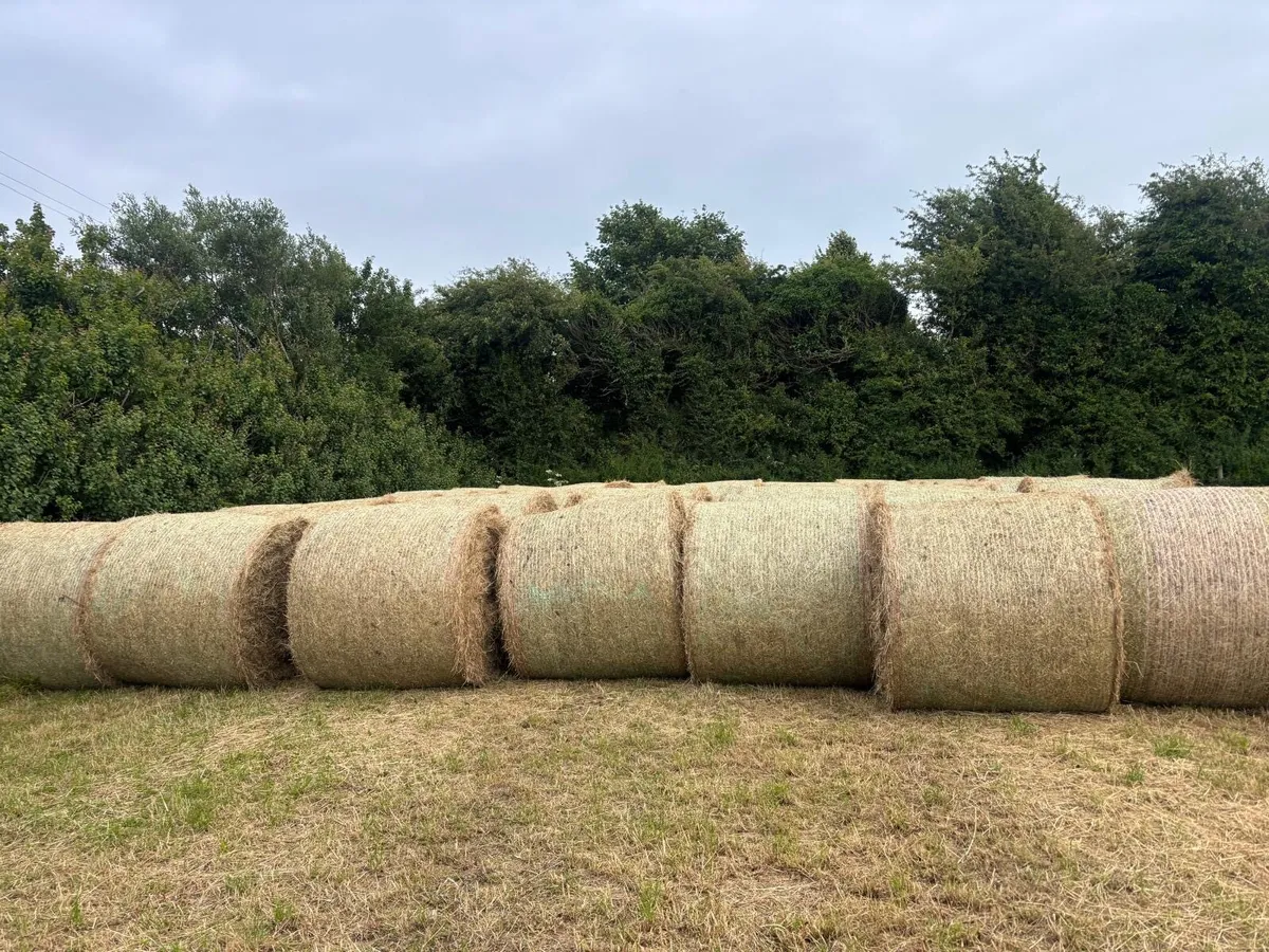 Hay bales - Image 3