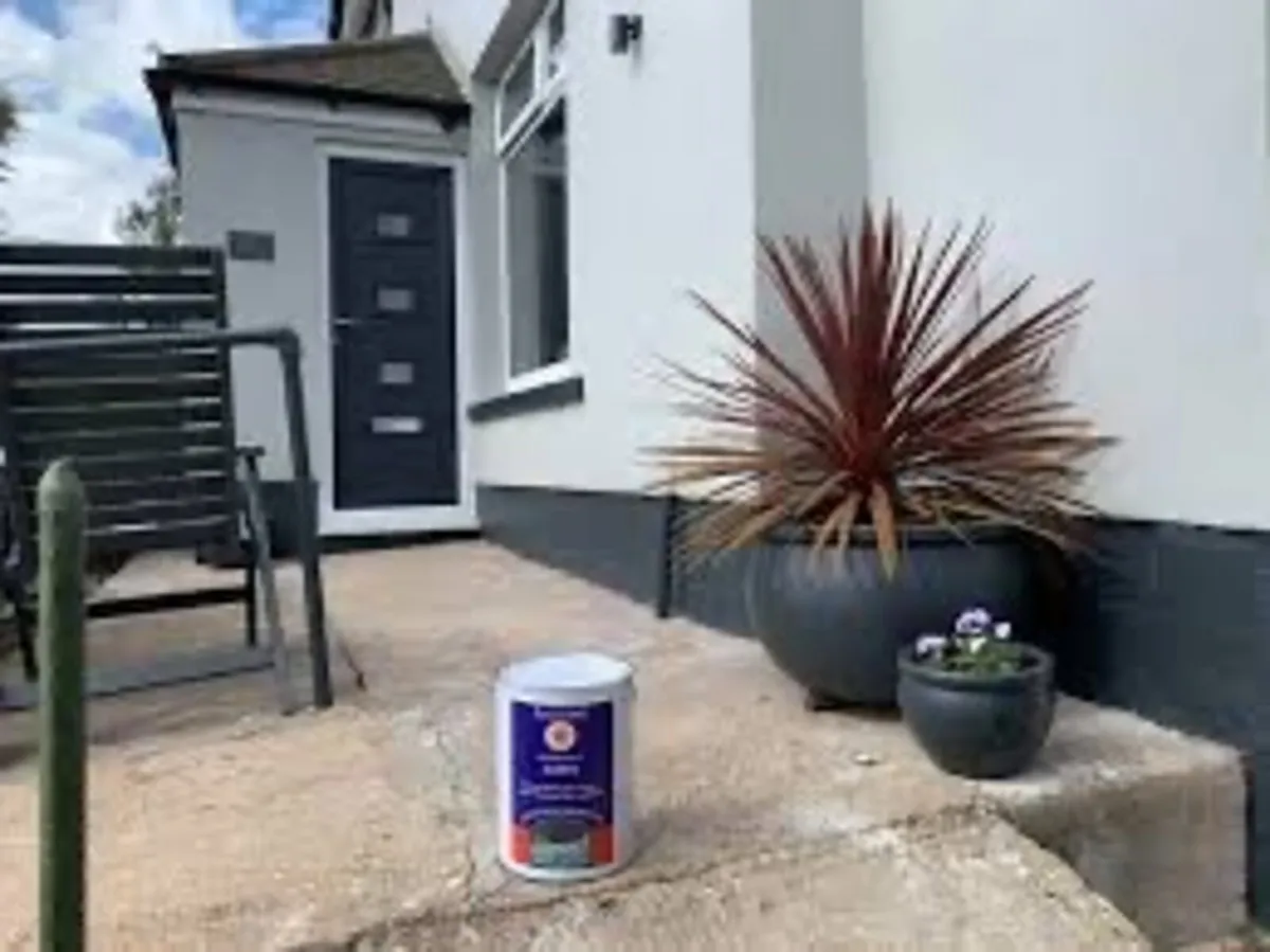 Masonry paint - Image 4