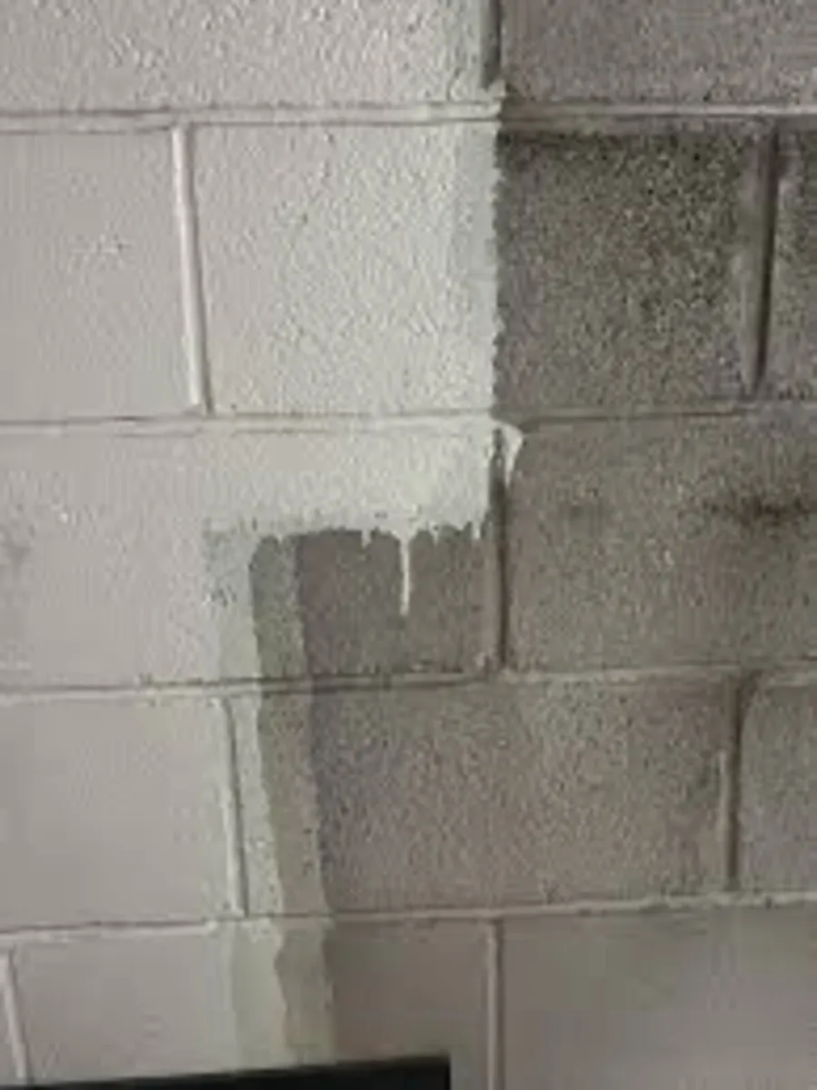 Masonry paint - Image 1