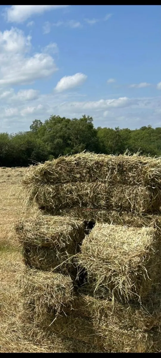 Small sqaure Bales of hay