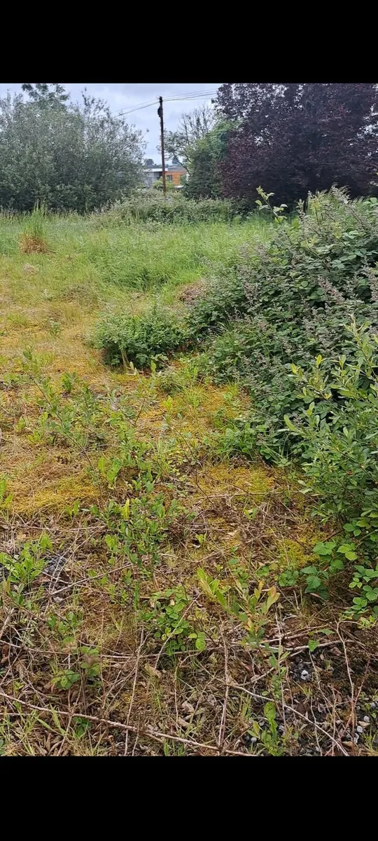 Garden maintenance and power washing service - Image 4