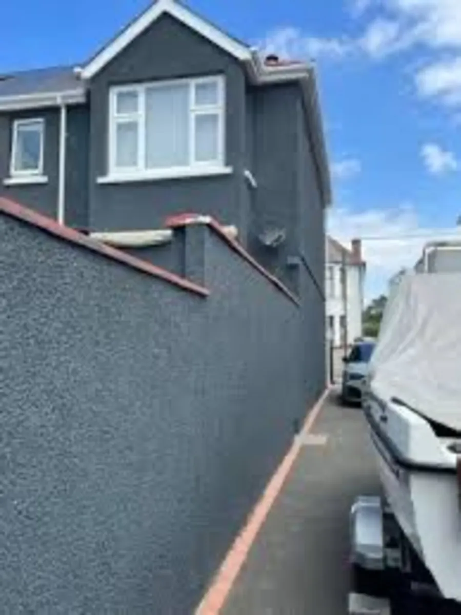 Masonry paint - Image 3