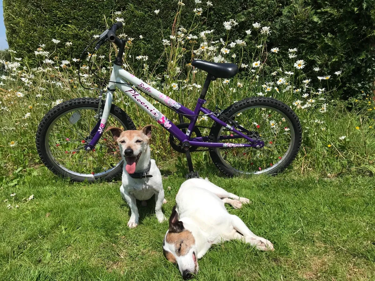 Child’s bike
