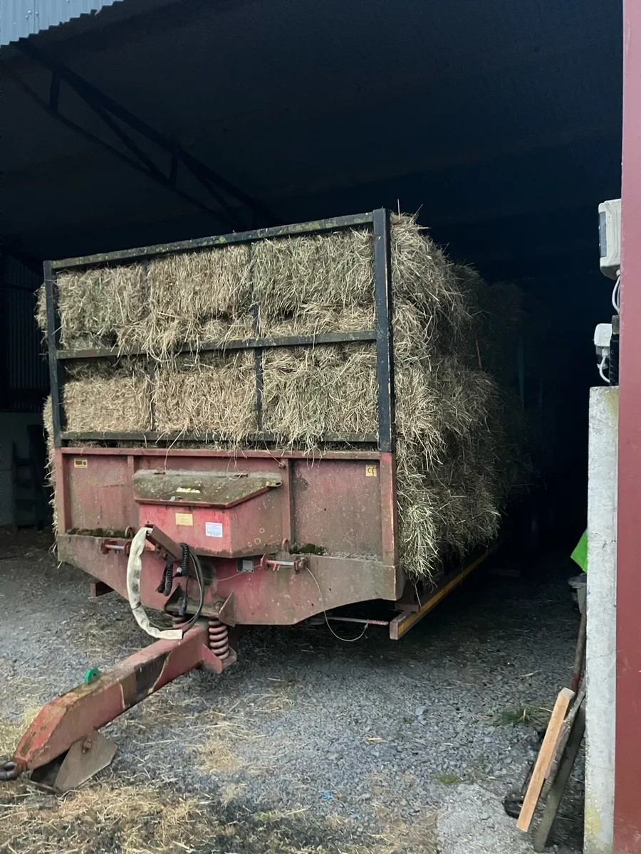 Hay - loaded & ready for delivery - Image 3