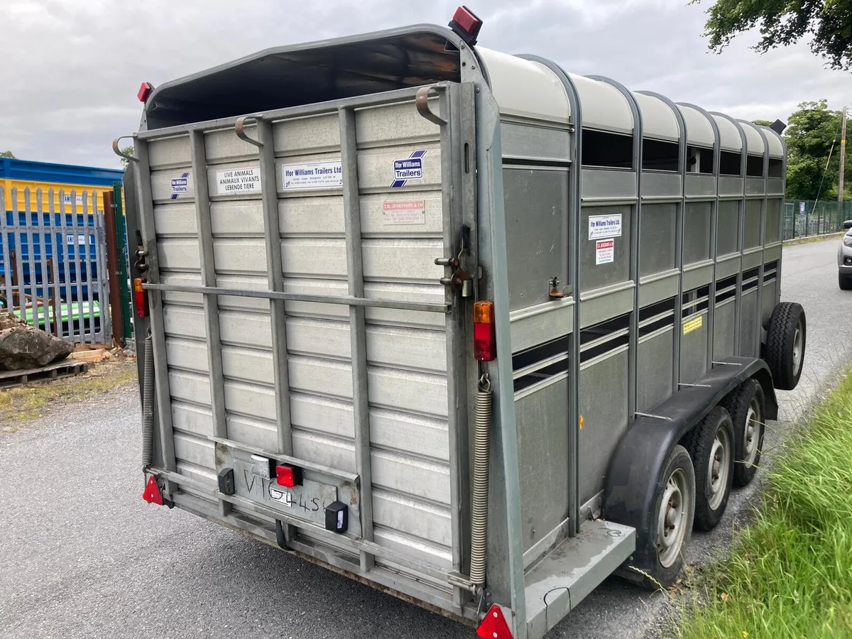 2017 Ifor Williams -14ft Tri  Cattle Trailer - Image 2