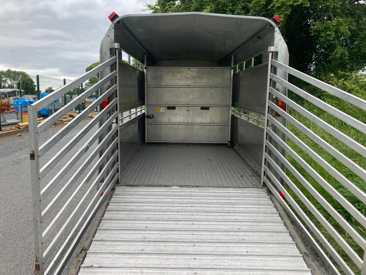 2017 Ifor Williams -14ft Tri  Cattle Trailer - Image 4
