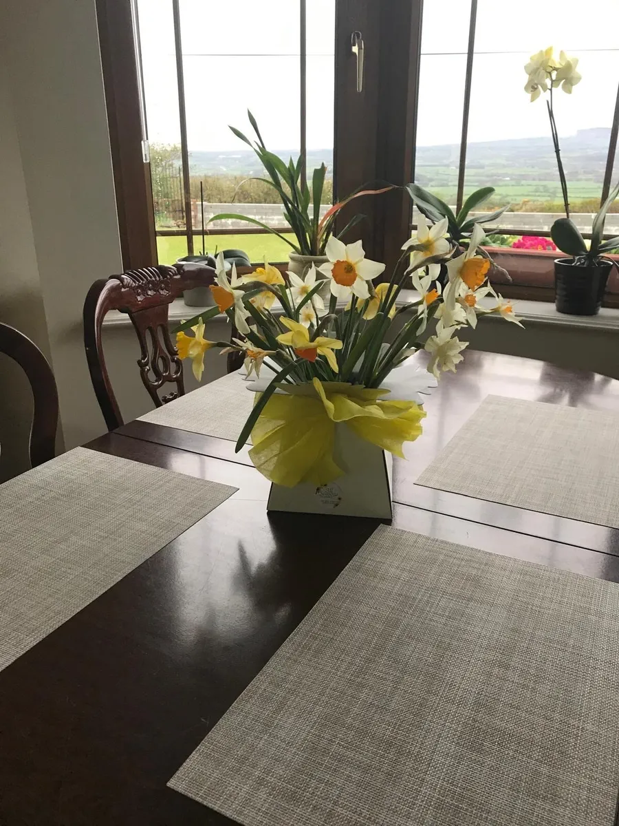 Wooden Dinning Table and 8 Chairs - Image 2