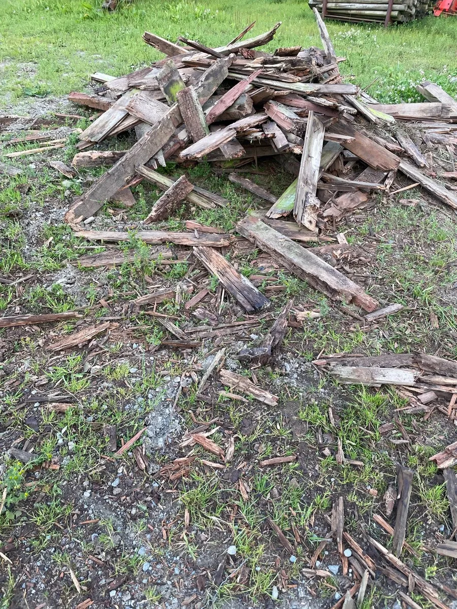 Free wood - Image 1