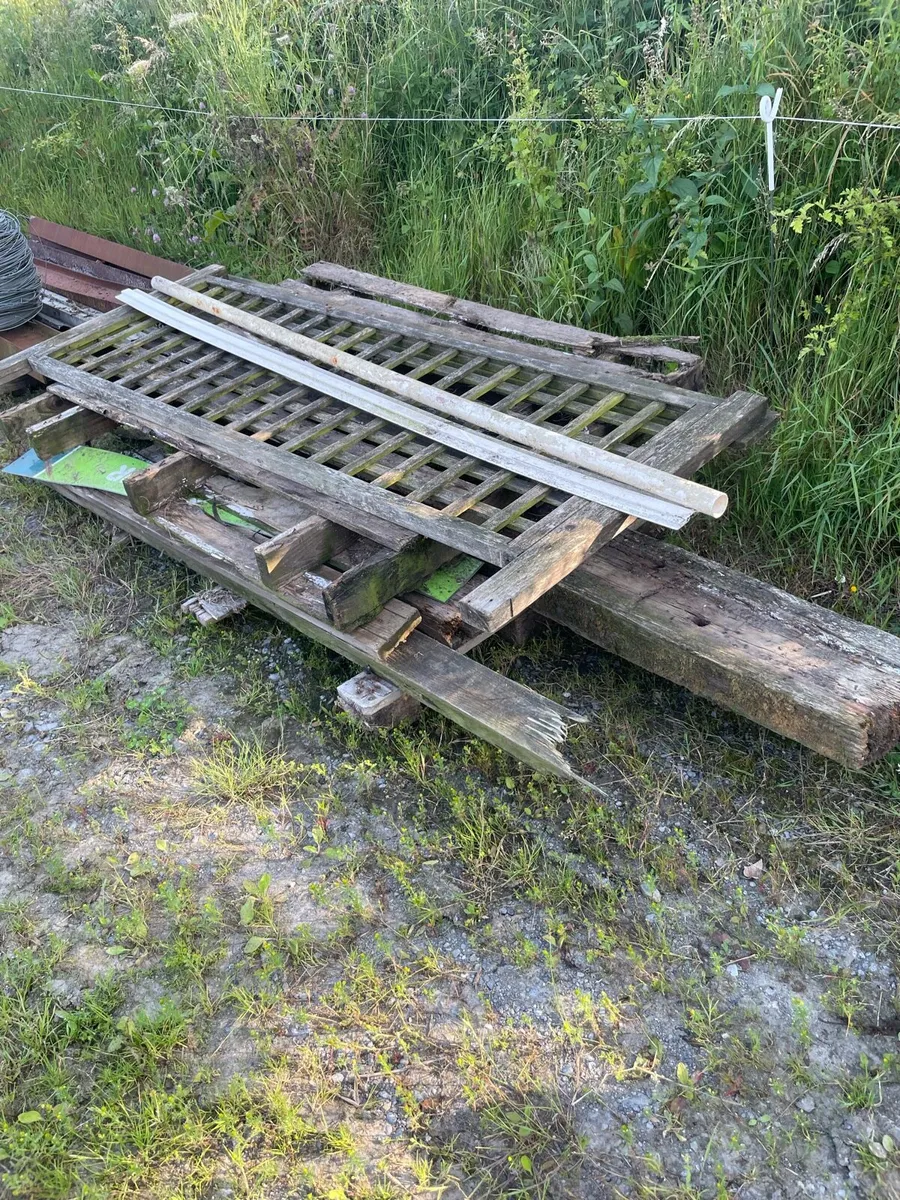 Free wood - Image 2