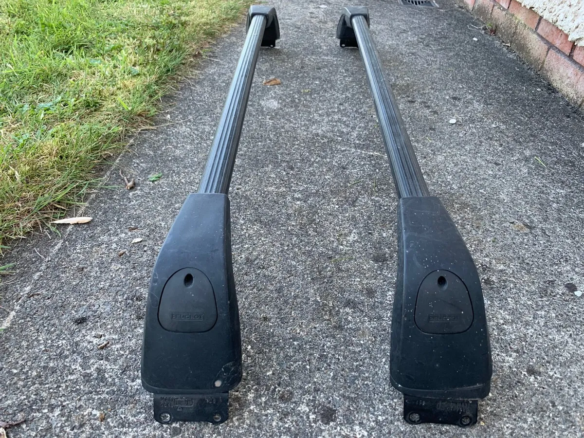 Peugeot 406 Roof Rack - Image 1
