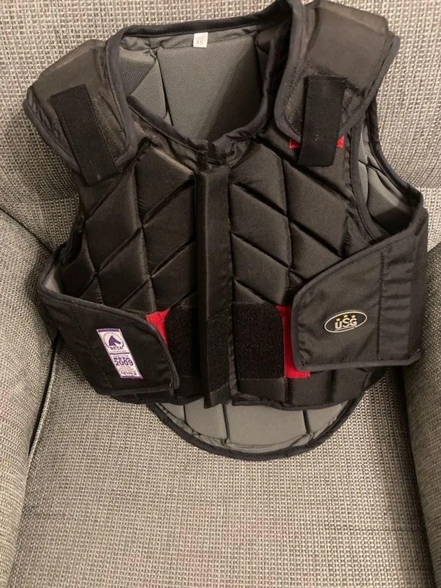 horse riding back brace - Image 1