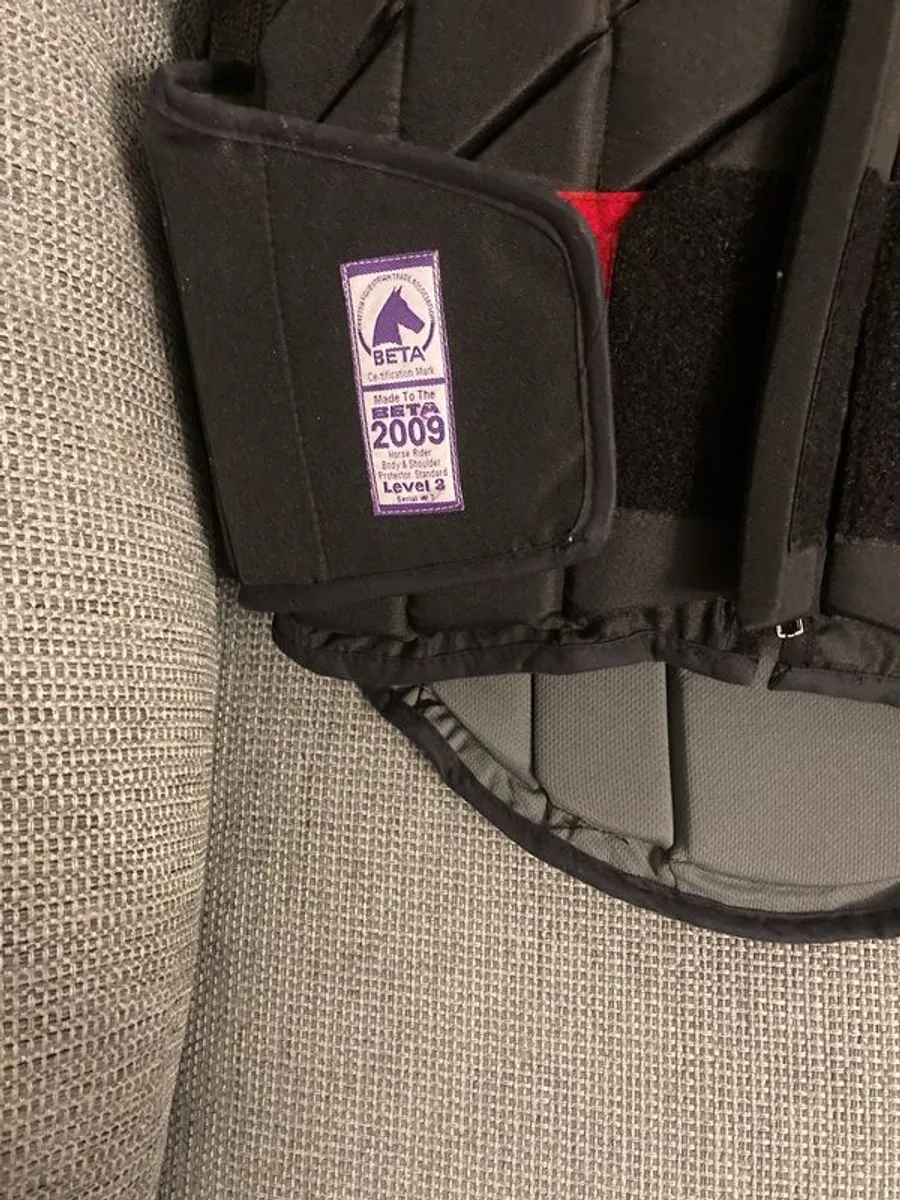 horse riding back brace - Image 2