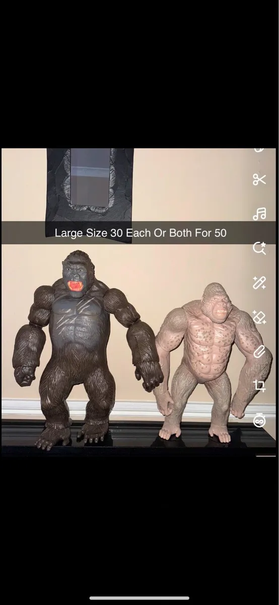 Large Size Kongs