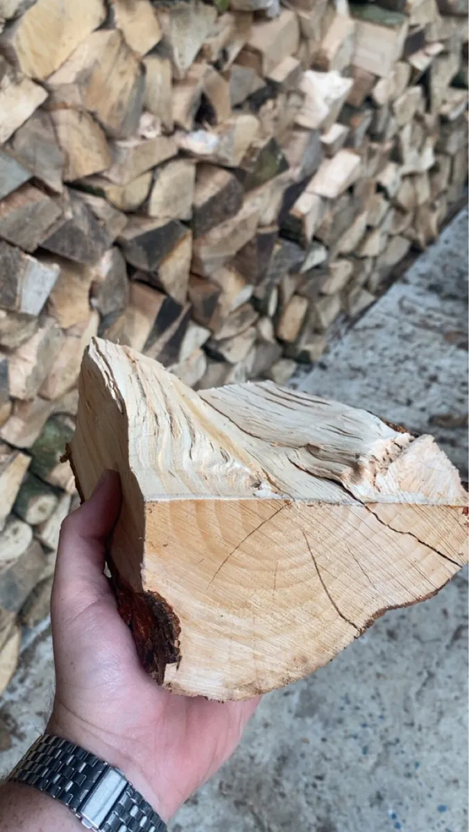 Timber - Image 3