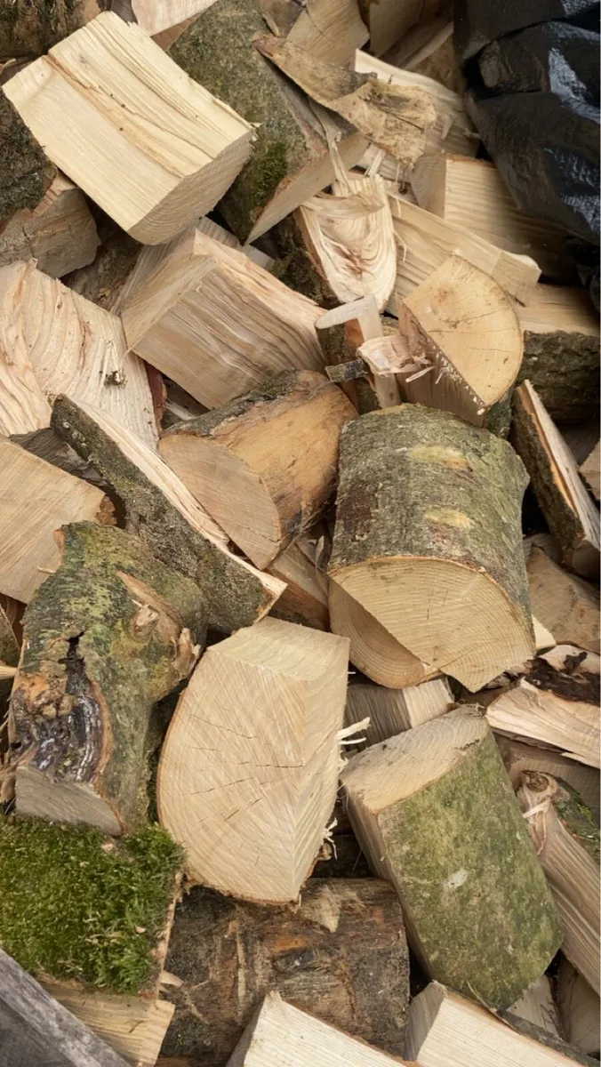 Timber - Image 4