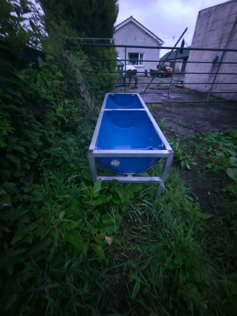 Trough - Image 2