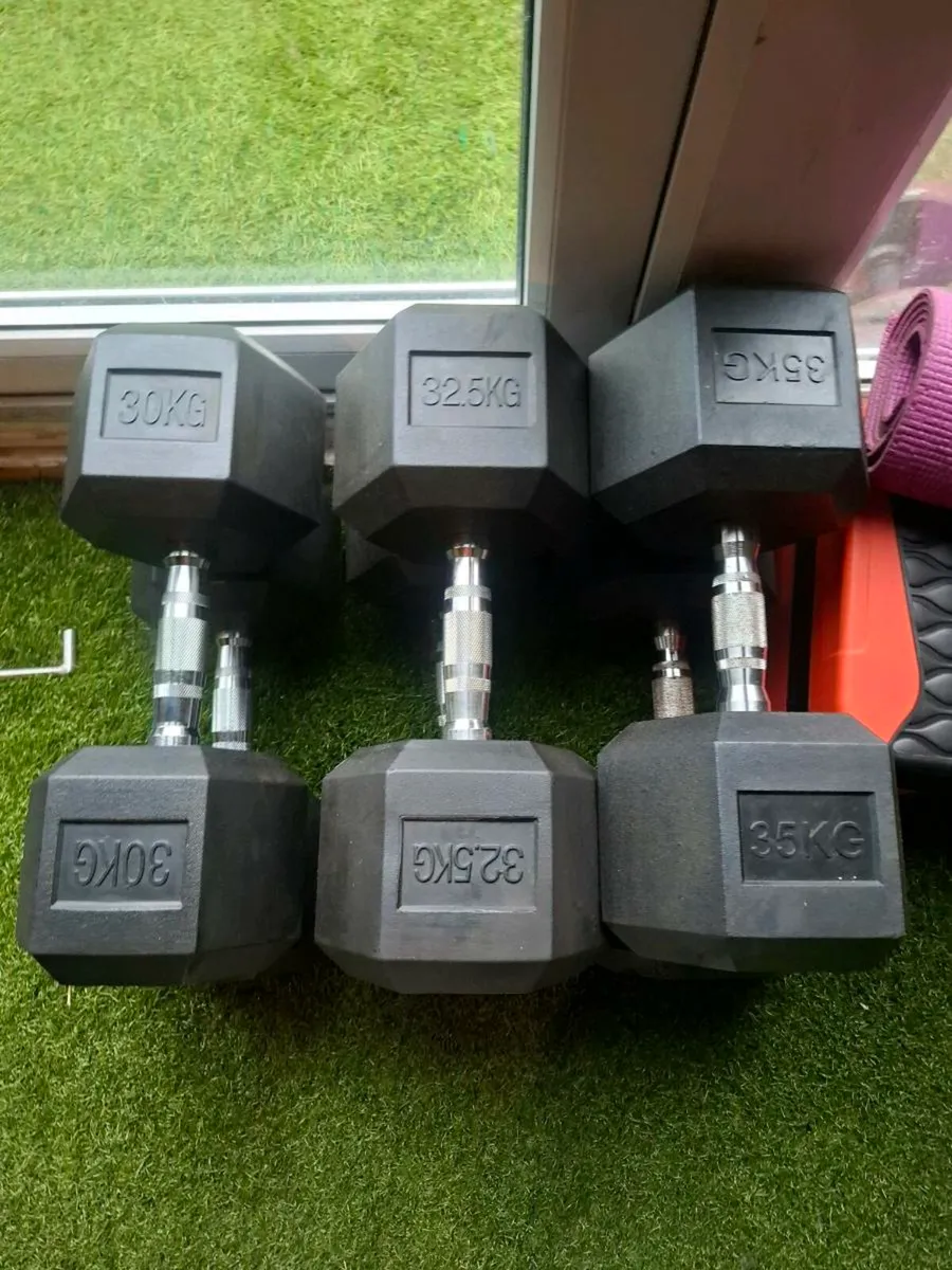 Gym for sale. Will sell separately. Prices DROPPED - Image 1