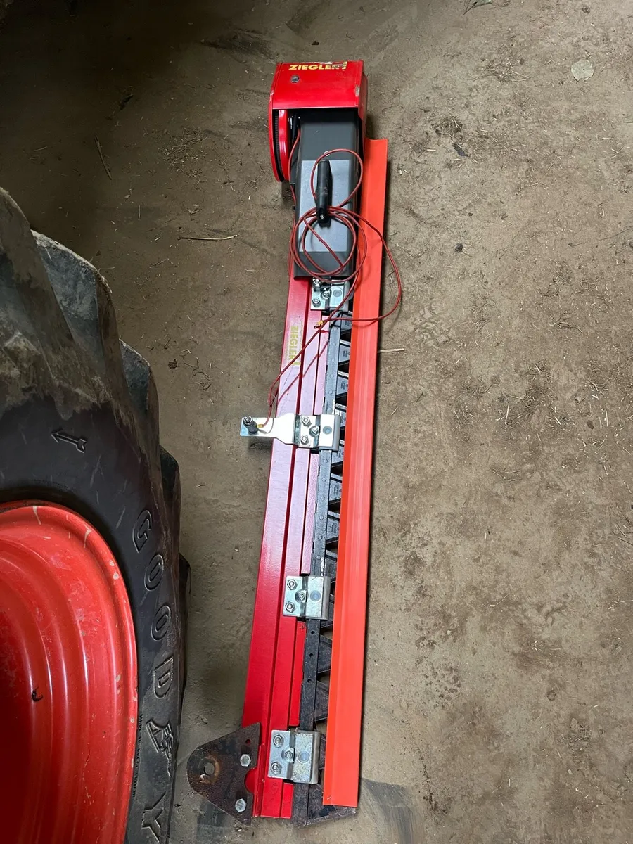 Ziegler Rape knife - Image 1