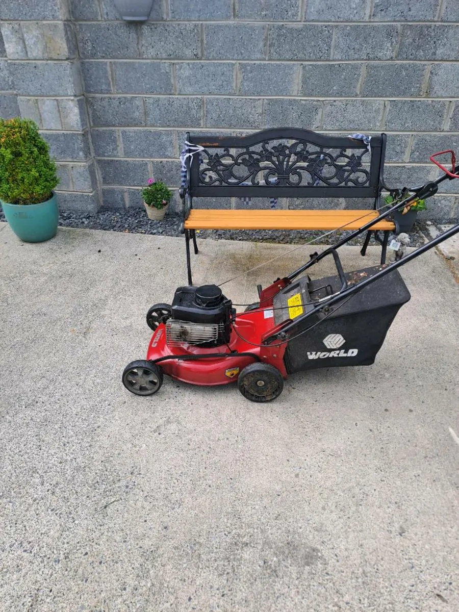 world  lawnmower  self-drive - Image 1