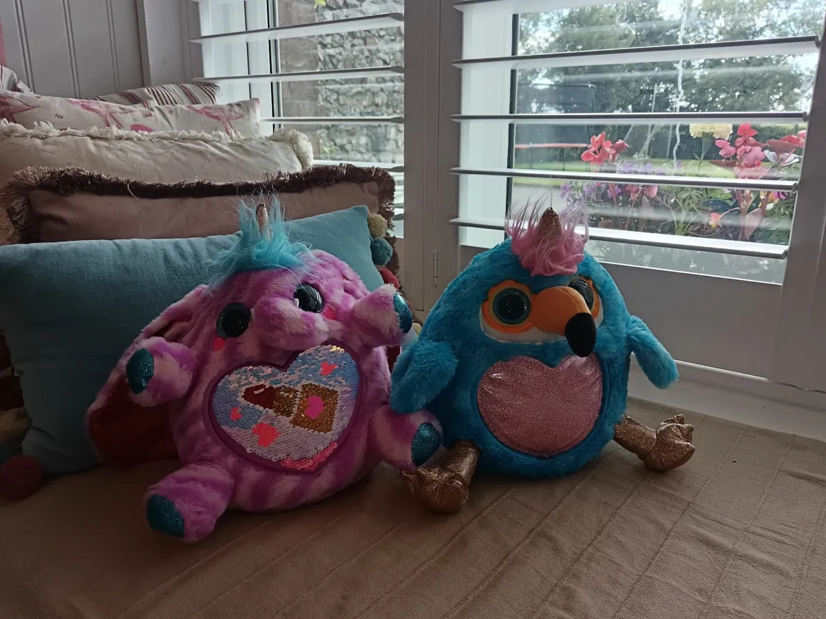 Teddys