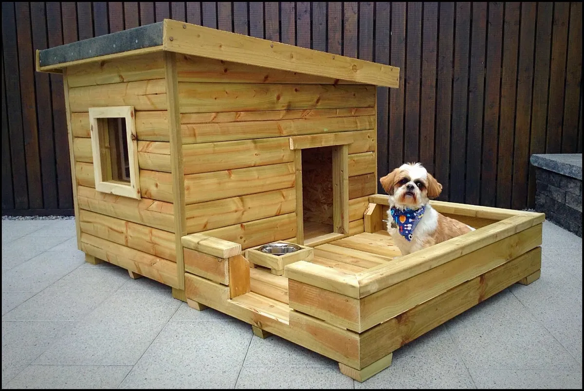 Dog Boxes In Stock - Image 3