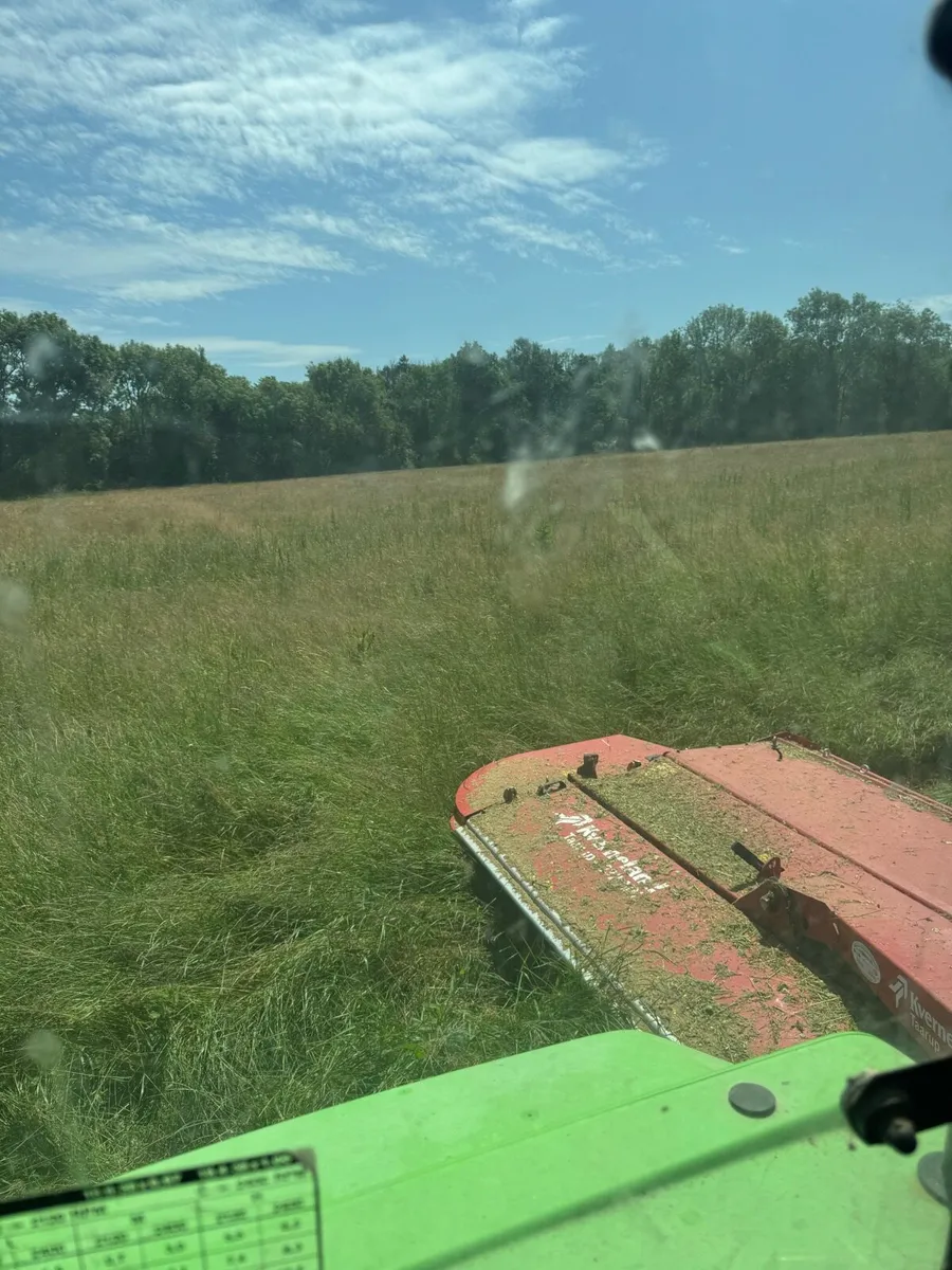 Organic square hay bales - Image 4