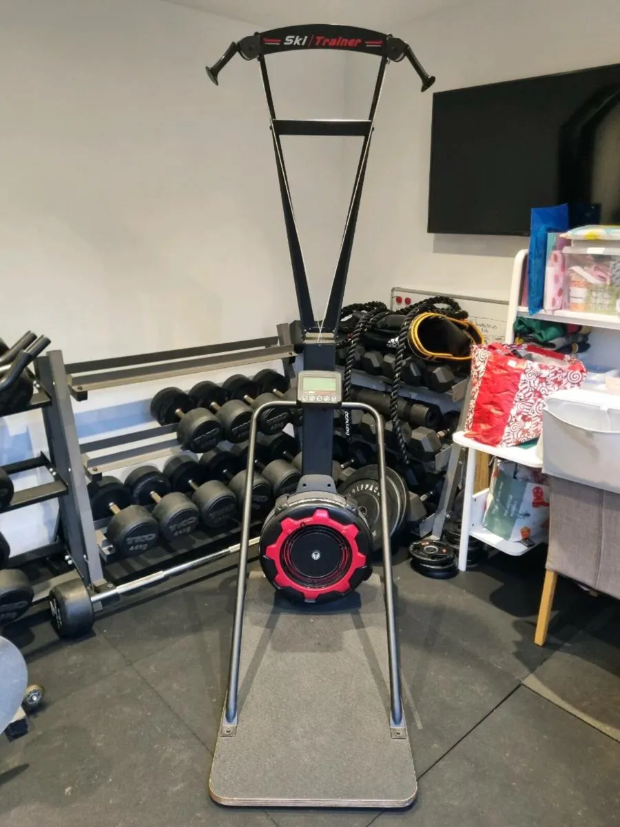 Wolverson Ski Erg - Image 1