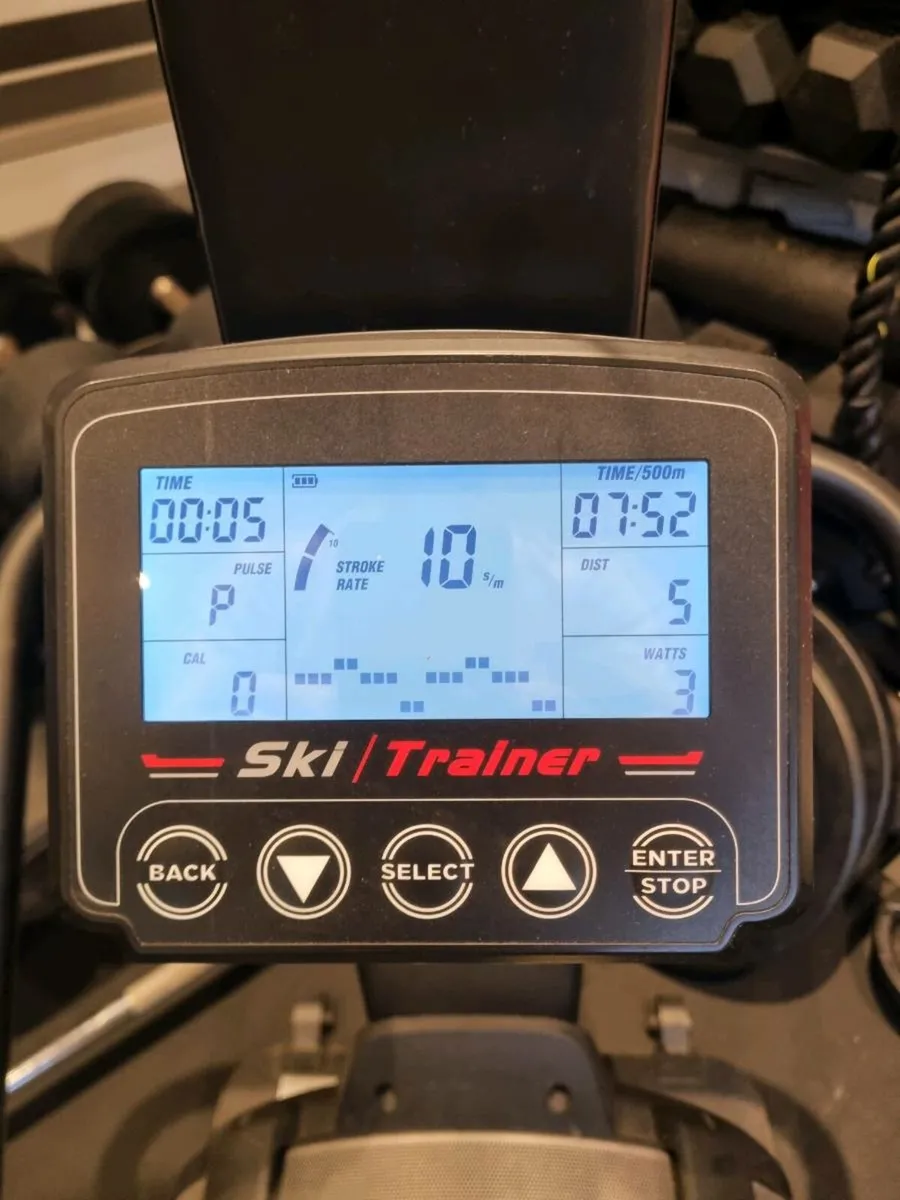 Wolverson Ski Erg - Image 2