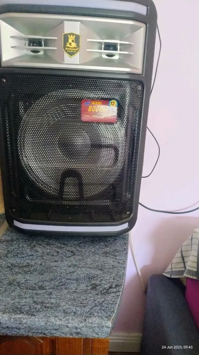 Speaker - Image 1