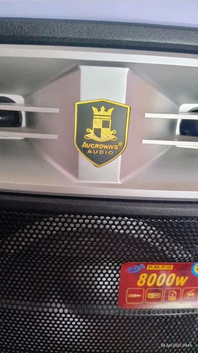 Speaker - Image 2