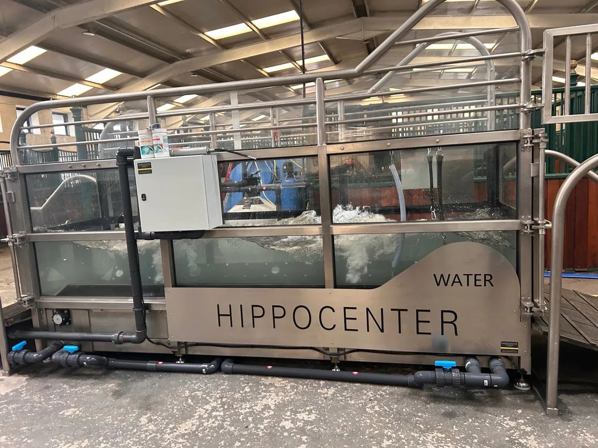 Water treadmill - Image 2