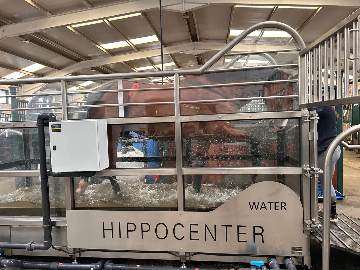 Water treadmill - Image 4