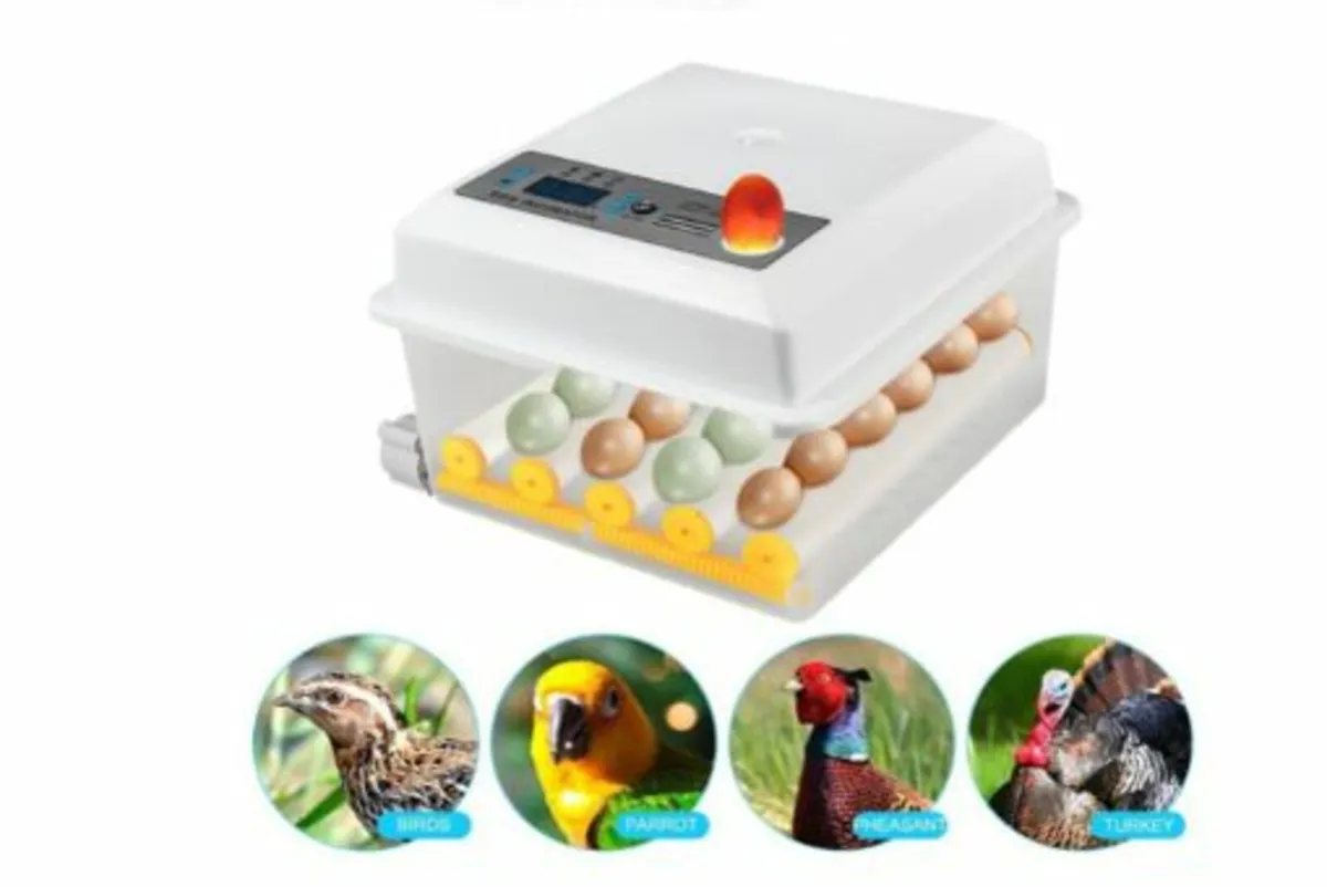 16 Egg Incubator with Temperature Control - Image 3