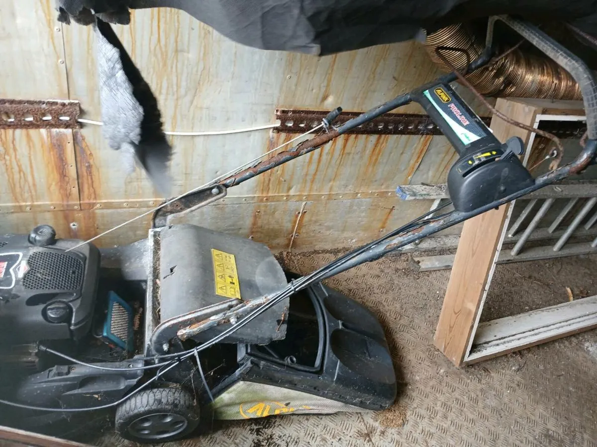 Lawnmower - Image 3