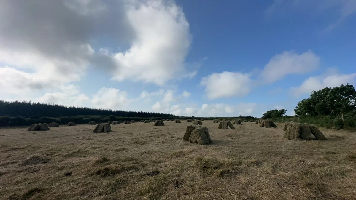 Small square bales of hay