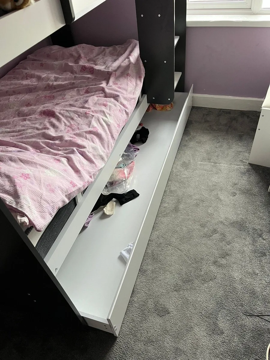 DFS Bunk Beds - Image 4