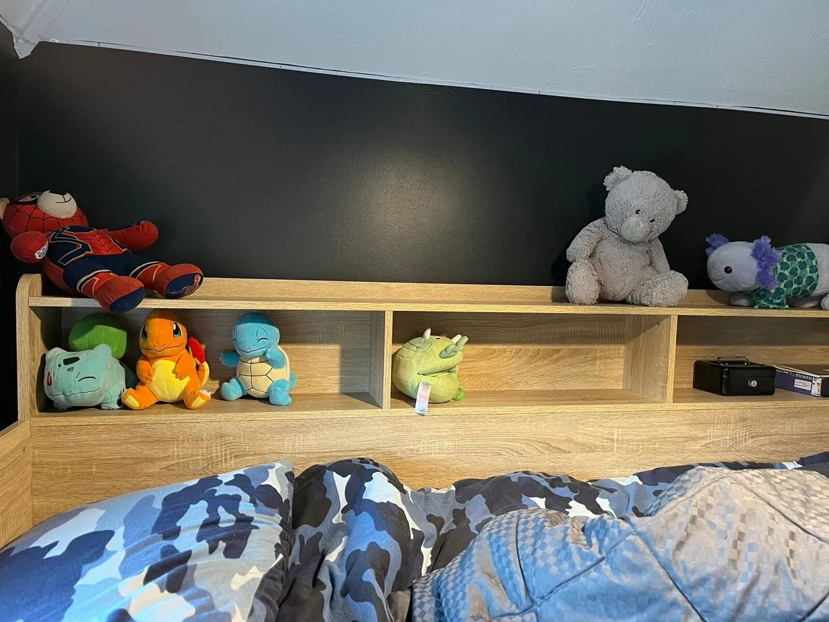 DFS Rover Bunk Beds - Image 4