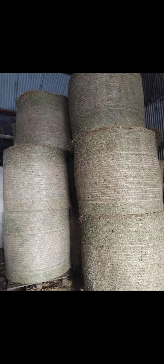 2024 & 2025 Hay for sale