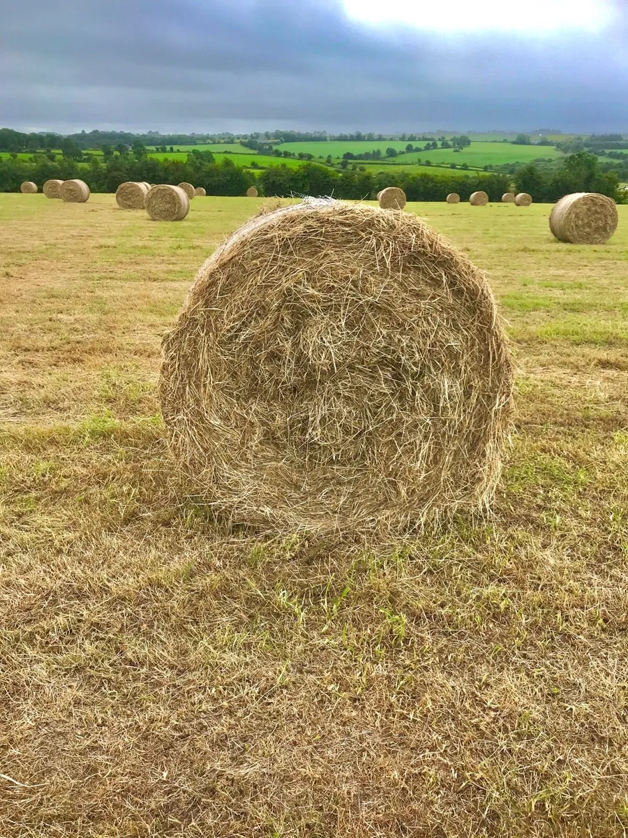 Hay Bales - Image 1