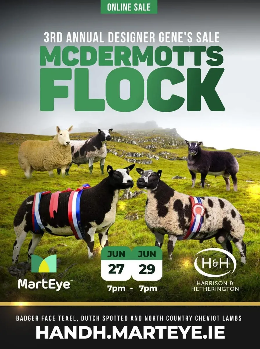 McDermotts Flock Designer Genes Sale - Image 1