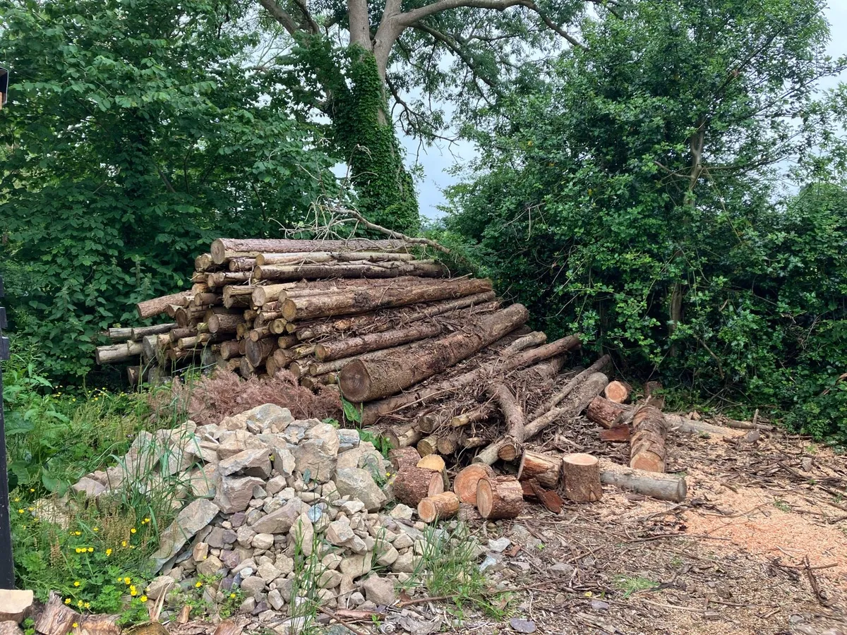 Firewood - Image 2