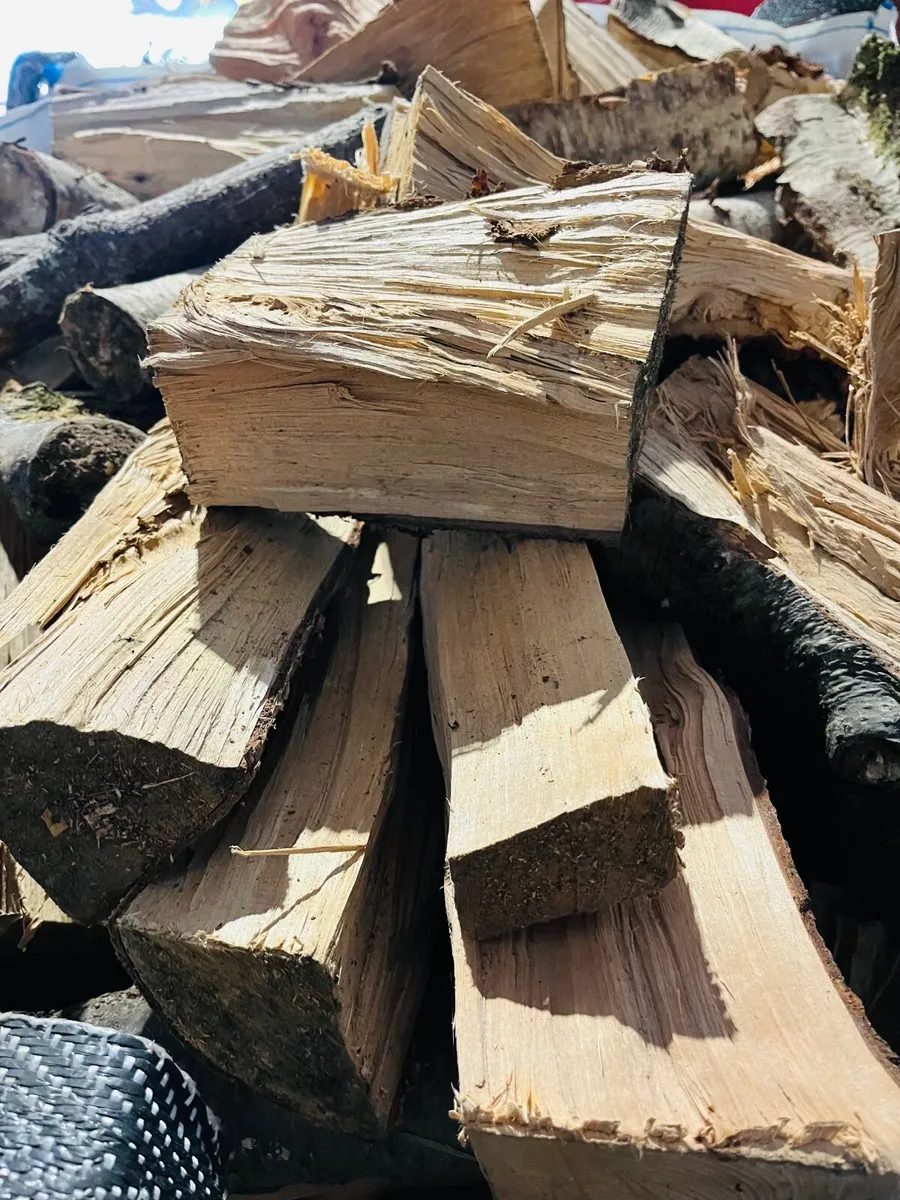 Dry Seasoned Firewood - Image 2