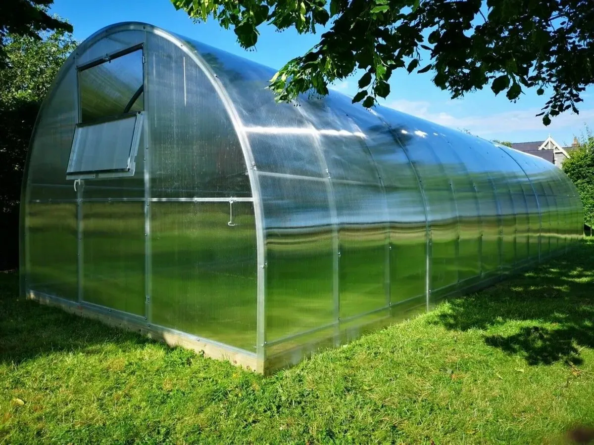 TITAN 3 Polycarbonate Greenhouse/Polytunnel - Image 2