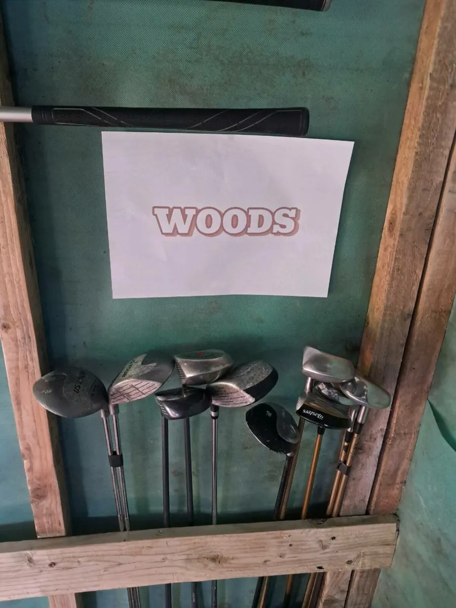 New stock in woods - Image 1