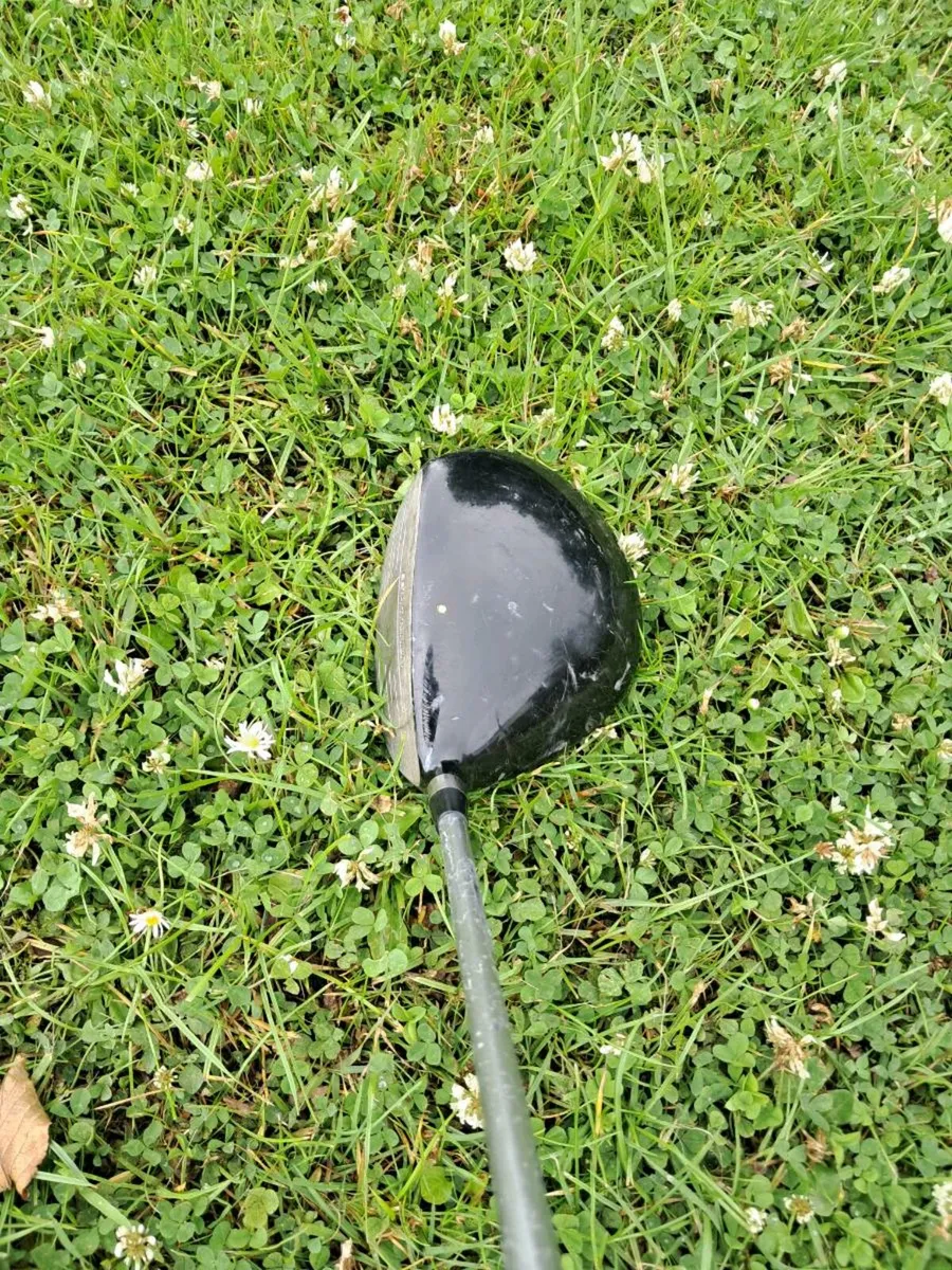Plus 10 driver - Image 2