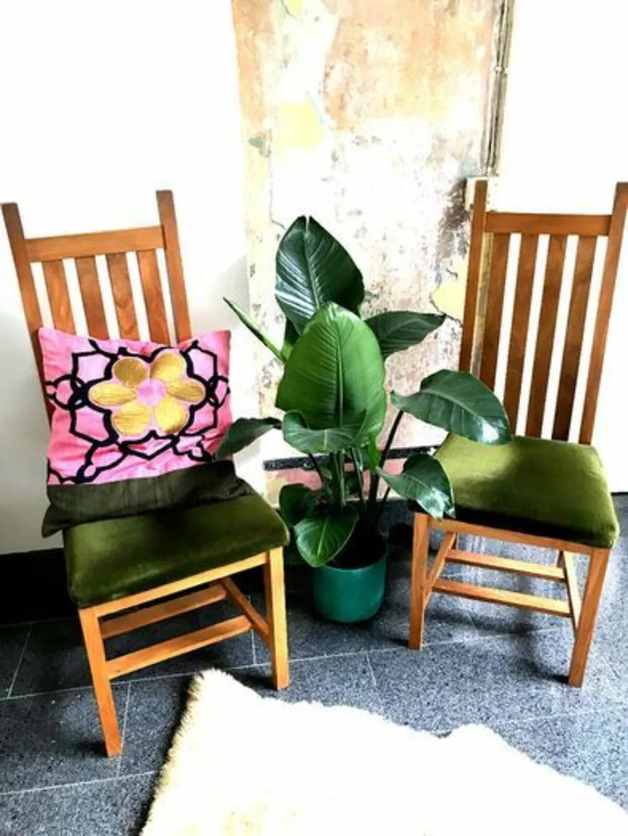 Solid Wood Dining Chairs - Image 1